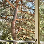 Puumaja Penthouse Διαμέρισμα
