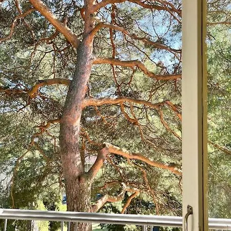 Puumaja Penthouse Apartmán